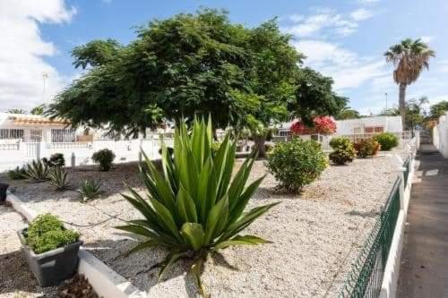 Casa Manuel - Santa Marta Complex Apartment *